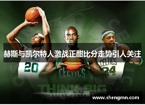 赫斯与凯尔特人激战正酣比分走势引人关注